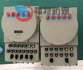 氢气环境厂用防爆照明动力配电箱的设计与应用